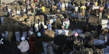 African Development Bank Approves $108 Million Loan for Zambia